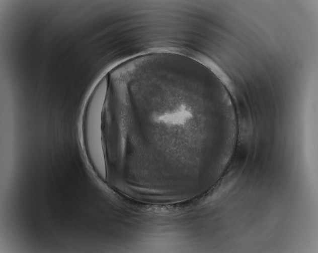 X0000094210955200711161826