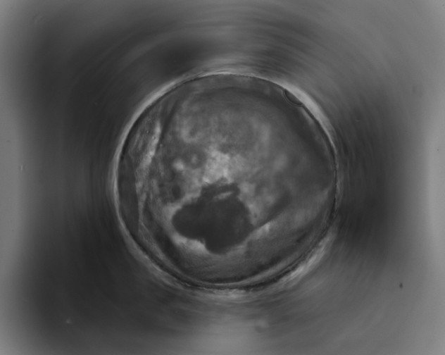 X0000094210957200711161826