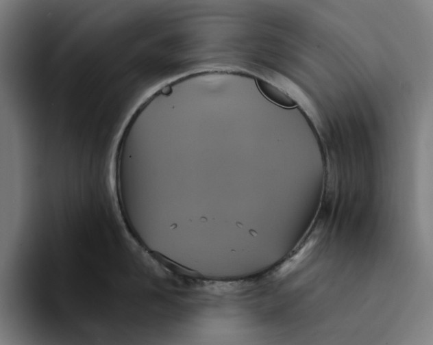 X0000094210958200711161826