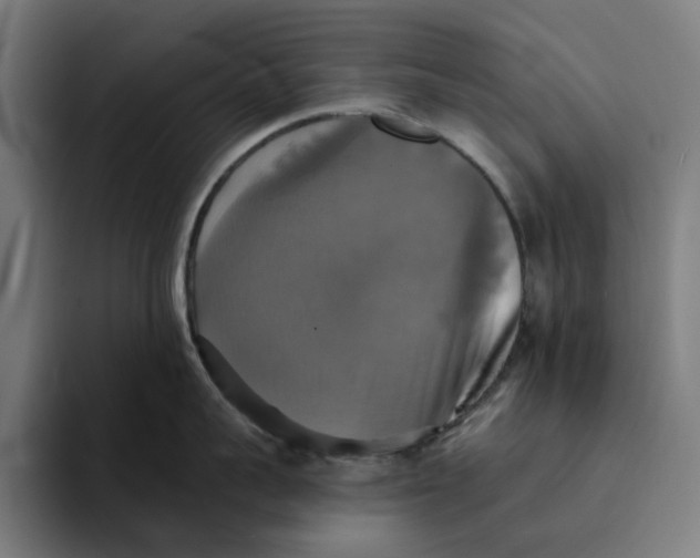 X0000094210959200711161826