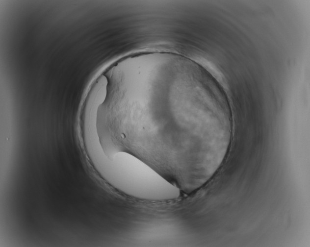 X0000094210960200711161826