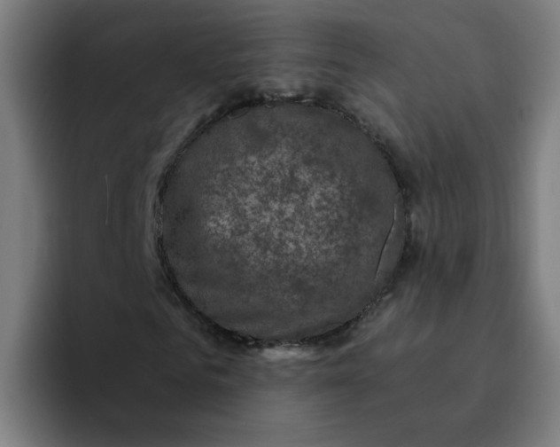 X0000094210961200711161825