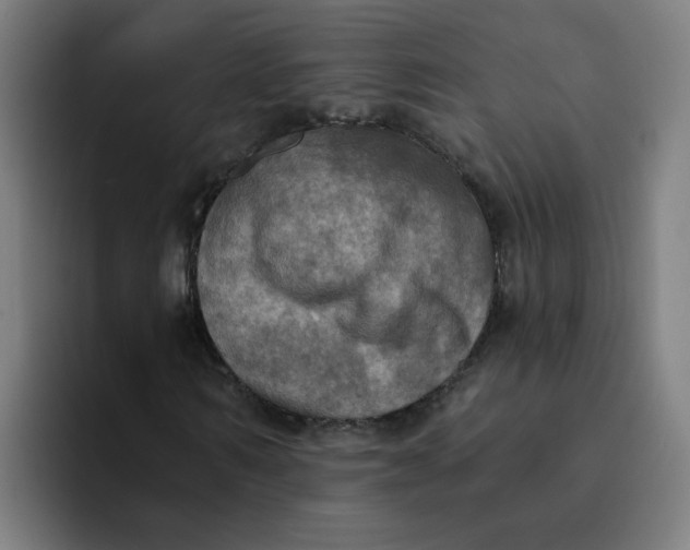 X0000094210962200711161825