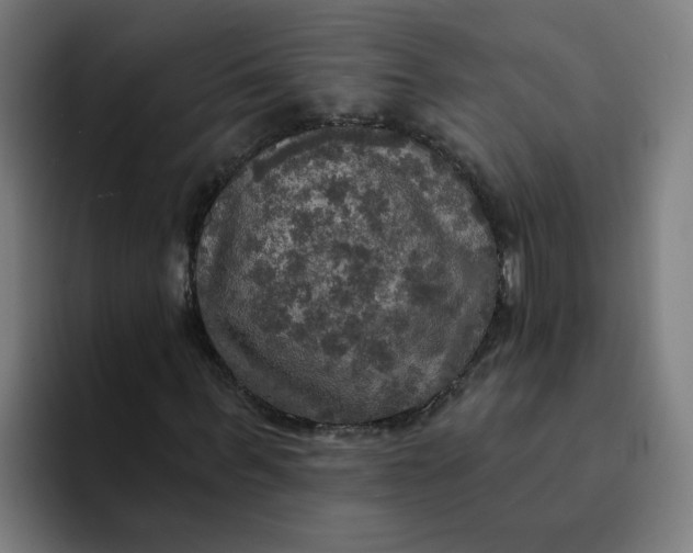 X0000094210963200711161825