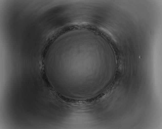 X0000094210966200711161825