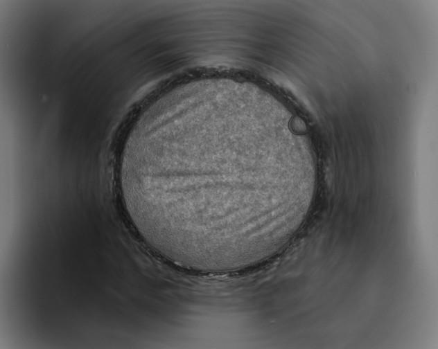 X0000094210968200711161825