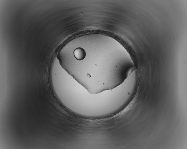X0000094210969200711161825