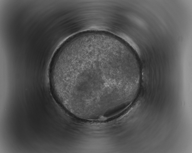 X0000094210972200711161825