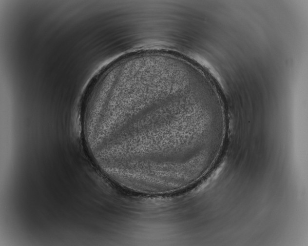 X0000094210973200711161825