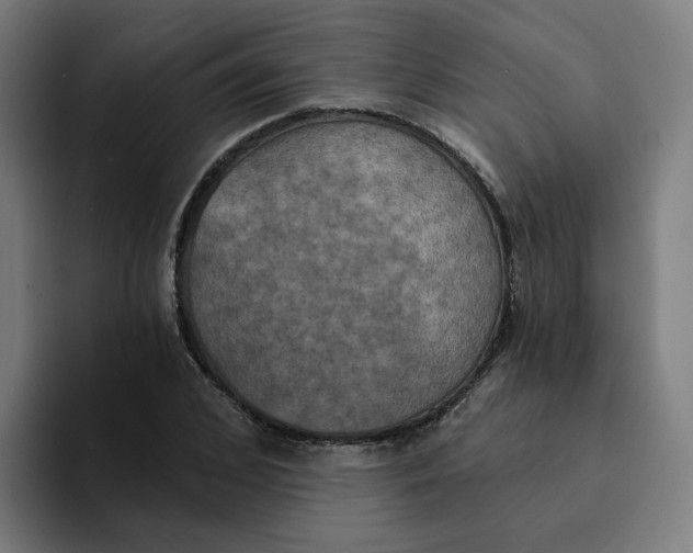 X0000094210976200711161825