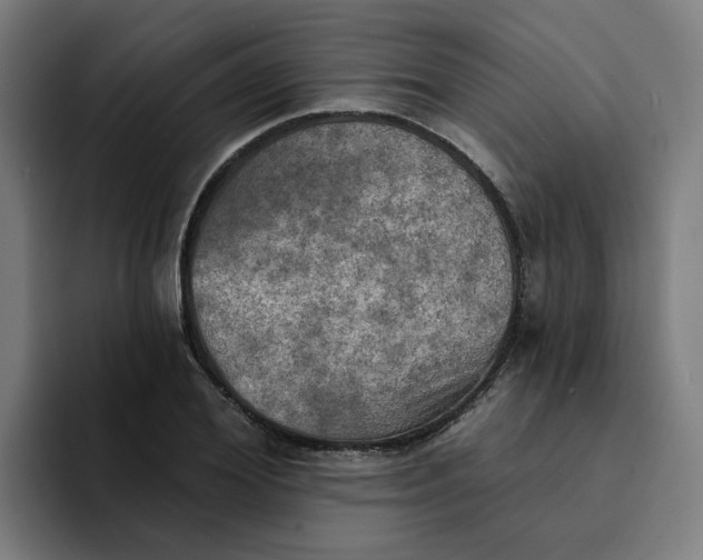 X0000094210980200711161825