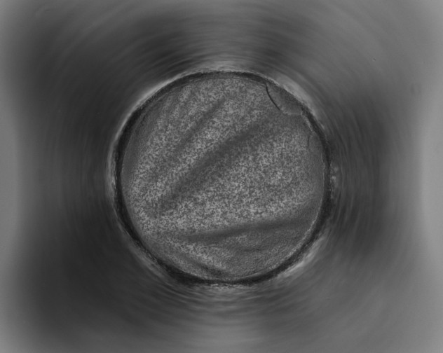 X0000094210981200711161825