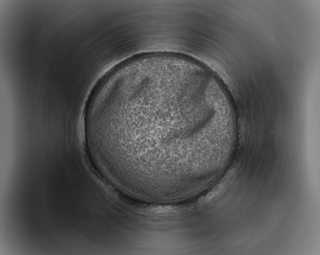 X0000094210982200711161825