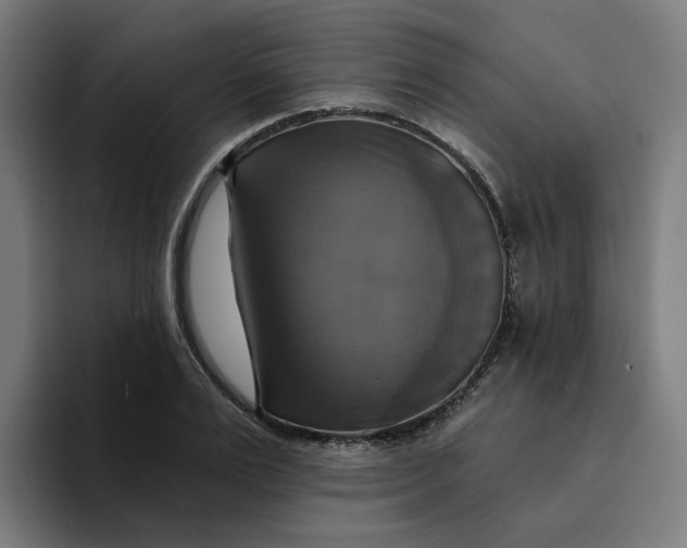 X0000094210983200711161825