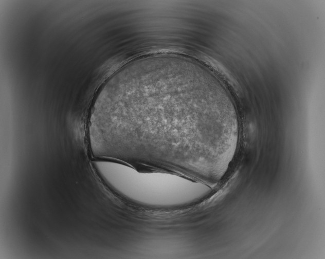 X0000094210985200711161825