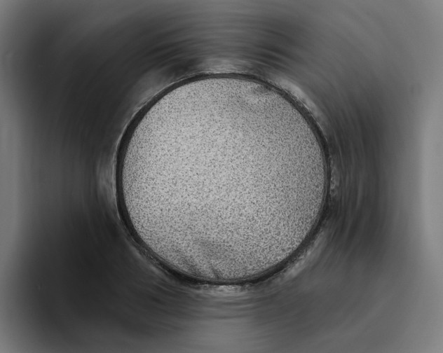X0000094210986200711161825