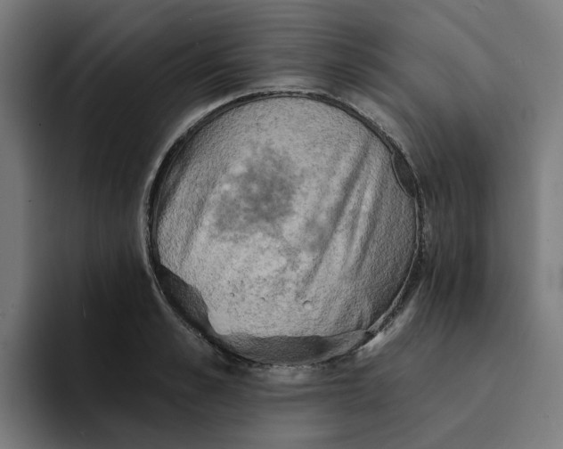 X0000094210989200711161825