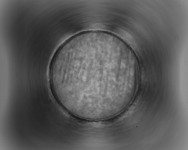 X0000094210990200711161825