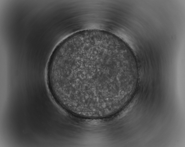 X0000094210991200711161825