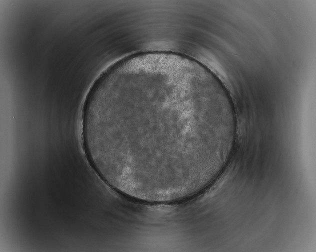 X0000094210992200711161825