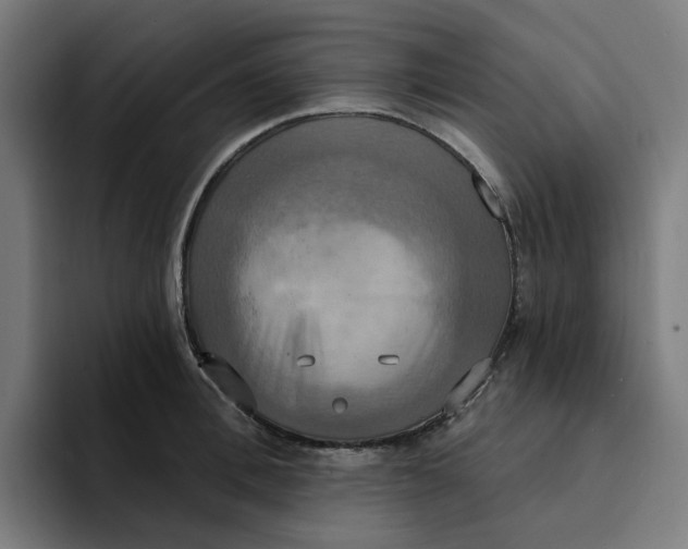 X0000094210996200711161825