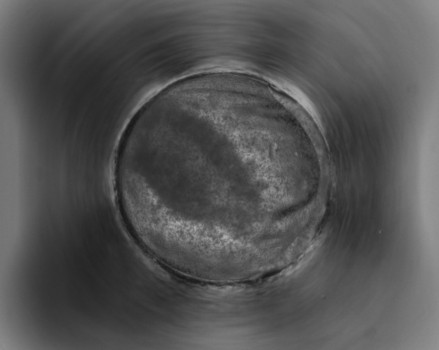 X0000094210997200711161825