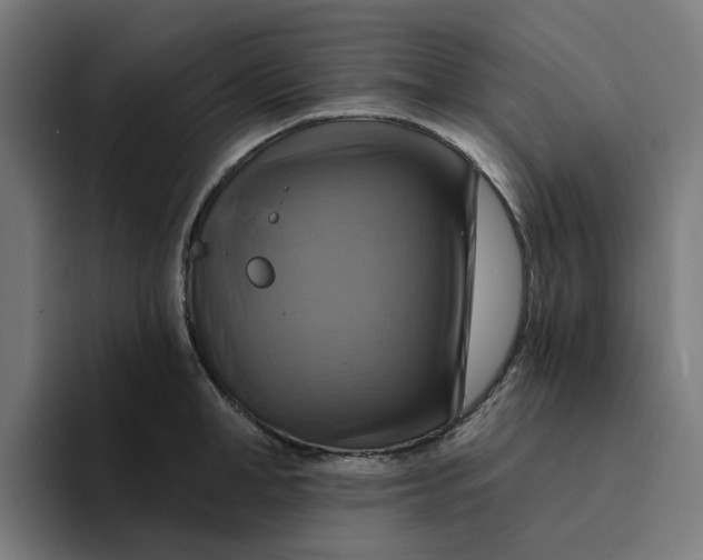 X0000094210998200711161825