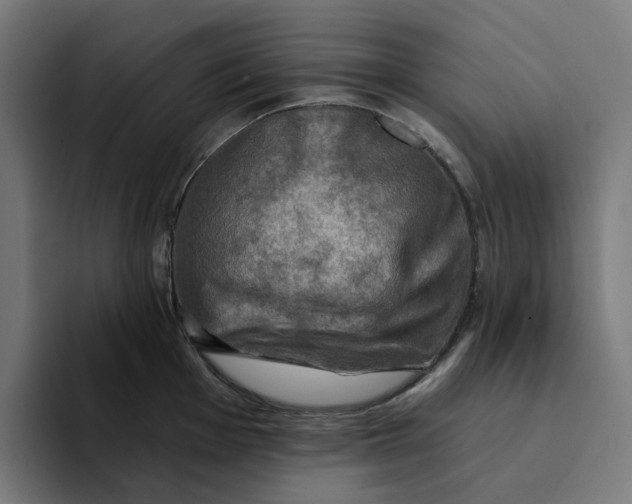 X0000094211001200711161825