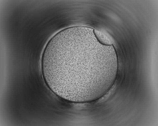 X0000094211004200711161825