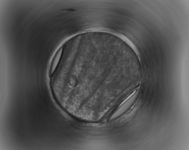 X0000094211005200711161825