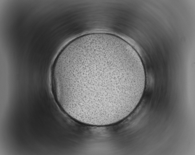 X0000094211006200711161825