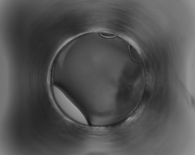 X0000094211007200711161825