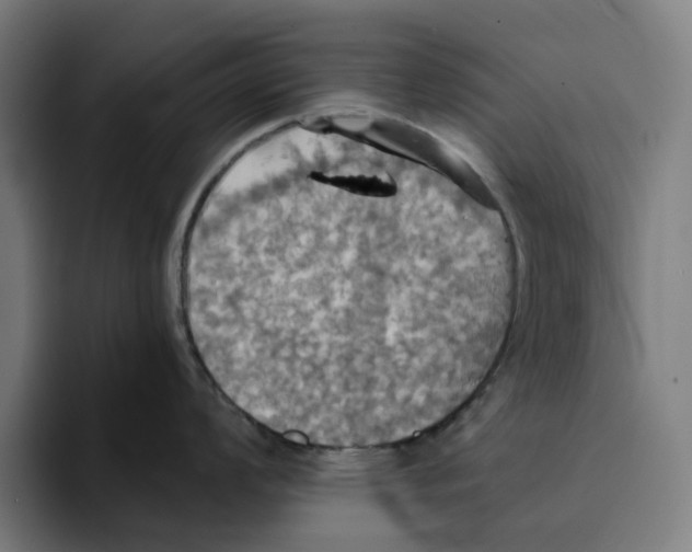 X0000094211008200711161825