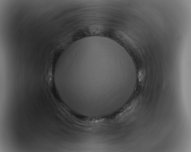 X0000094211011200711161824
