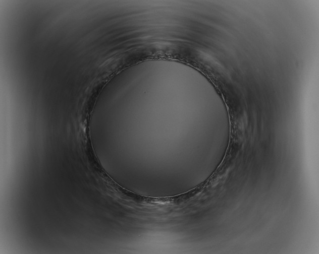 X0000094211013200711161824