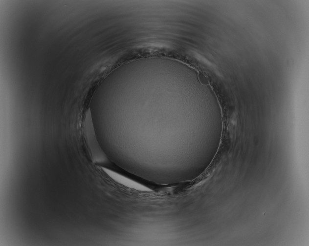 X0000094211014200711161824
