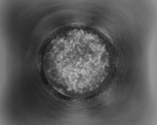 X0000094211015200711161824