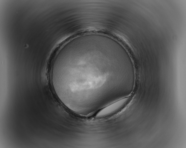 X0000094211018200711161824