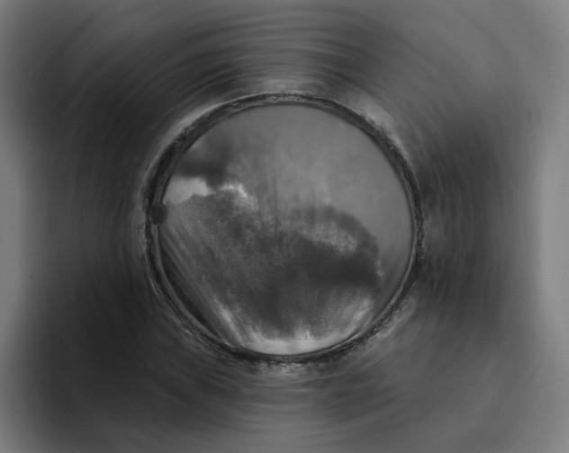 X0000094211019200711161824