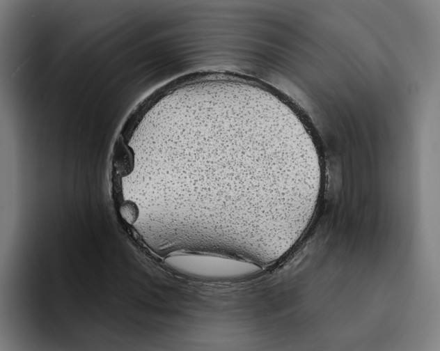 X0000094211020200711161824