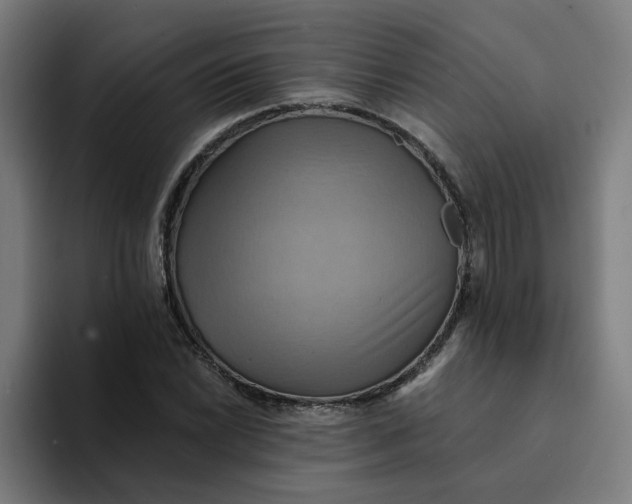 X0000094211022200711161824