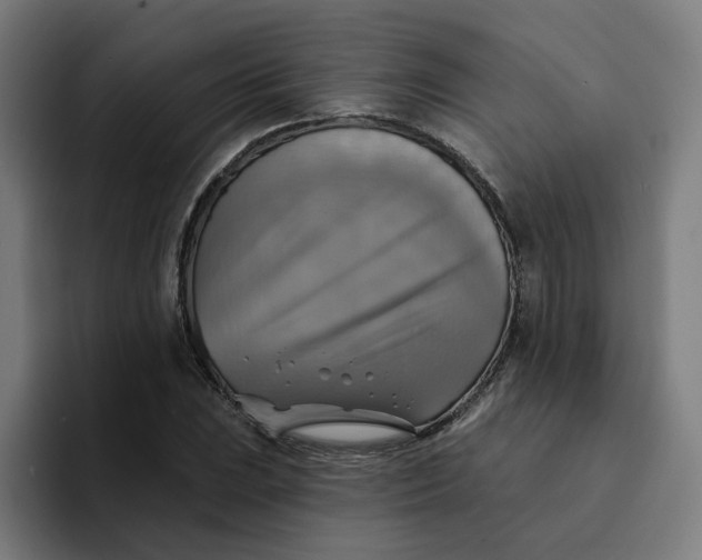 X0000094211023200711161824