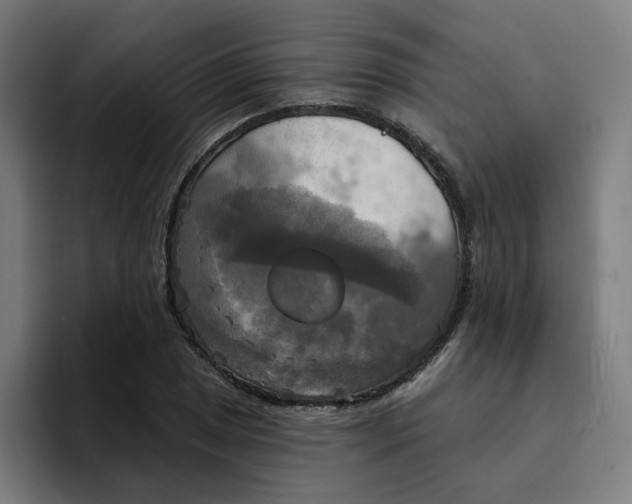 X0000094211025200711161824