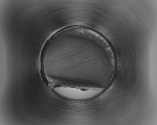 X0000094211028200711161824