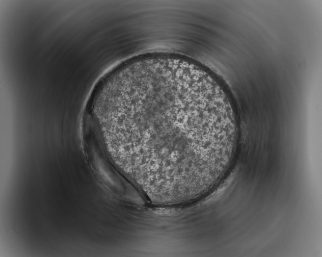 X0000094211029200711161824