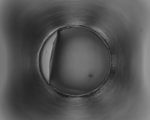 X0000094211031200711161824