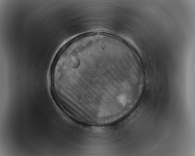 X0000094211032200711161824