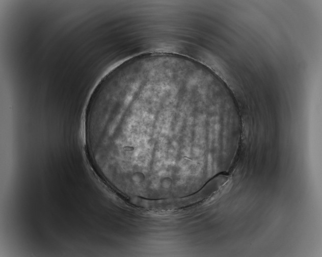X0000094211036200711161824