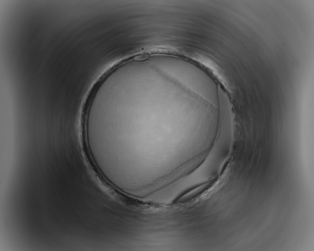 X0000094211038200711161825