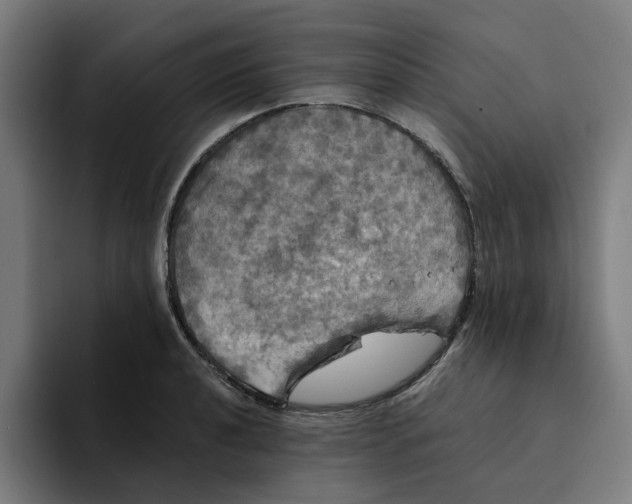 X0000094211040200711161825